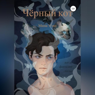 Обложка книги «Чёрный кот»