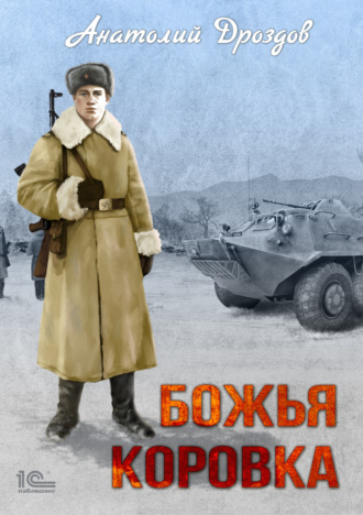 Обложка книги «Божья коровка»