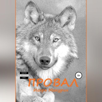 Обложка книги «Провал»