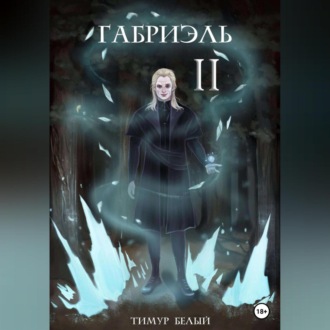 Обложка книги «Габриэль. Том второй»