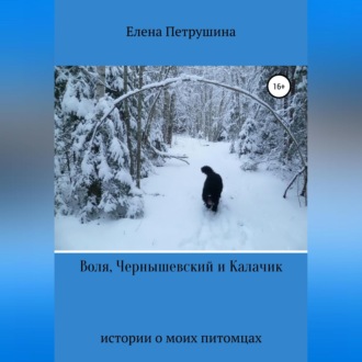 Обложка книги «Воля, Чернышевский и Калачик»