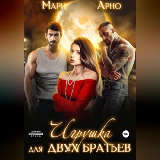 Обложка книги «Игрушка для двух братьев»