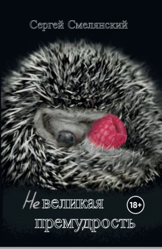 Обложка книги «Невеликая премудрость»
