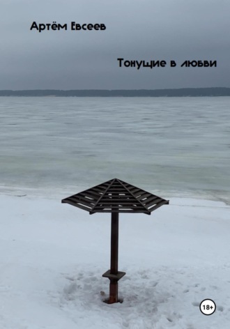 Обложка книги «Тонущие в любви»