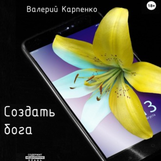 Обложка книги «Создать бога»