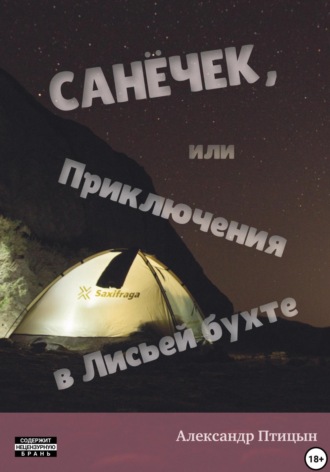 Обложка книги «Санёчек, или Приключения в Лисьей бухте»