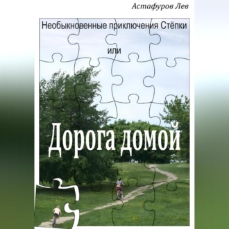 Обложка книги «Необыкновенные приключения Стёпки, или Дорога домой»