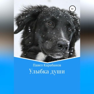Обложка книги «Улыбка души»