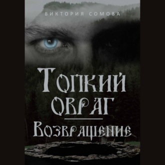 Обложка книги «Топкий овраг. Возвращение»