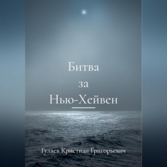 Обложка книги «Битва за Нью-Хейвен»