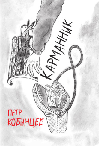Обложка книги «Карманник»