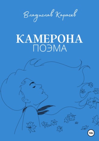 Обложка книги «Камерона»