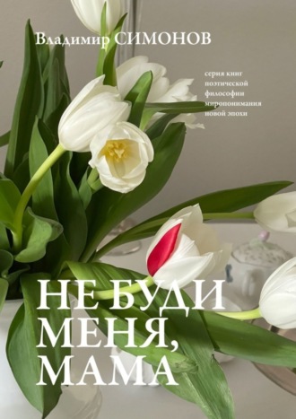 Обложка книги «Не буди меня, мама. Серия книг поэтической философии миропонимания новой эпохи»
