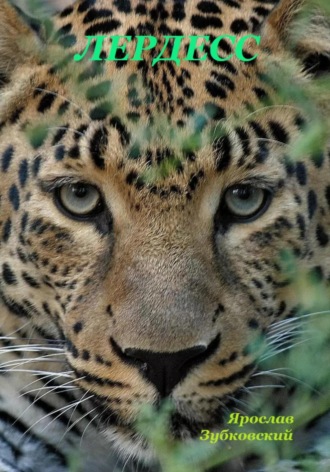 Ярослав Николаевич Зубковский. Лердесс