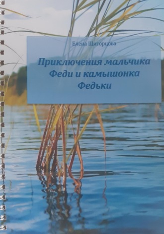 Обложка книги «Приключения мальчика Феди и камышонка Федьки»