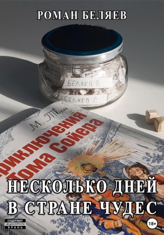 Обложка книги «Несколько дней в стране чудес»