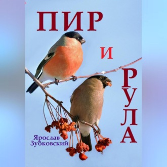 Обложка книги «Пир и Рула»