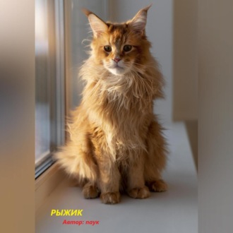 Обложка книги «Рыжик»