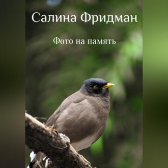 Обложка книги «Фото на память»
