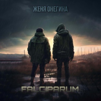 Обложка книги «Falciparum»