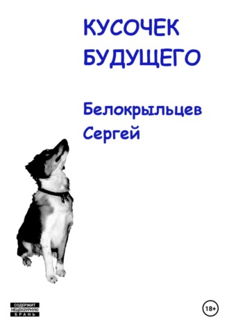 Обложка книги «Кусочек будущего»