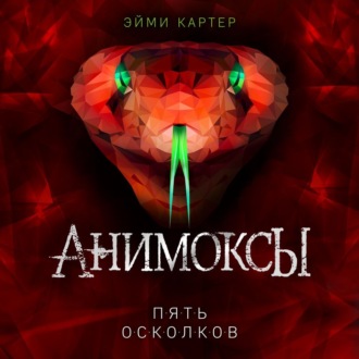 Обложка книги «Пять Осколков»