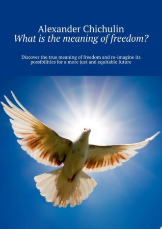 Александр Чичулин. What is the meaning of freedom? Discover the true meaning of freedom and re-imagine its possibilities for a more just and equitable future