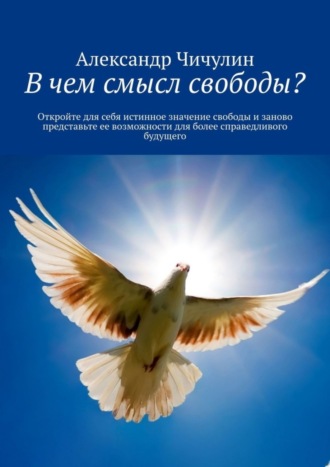 Александр Чичулин. В чем смысл свободы? Откройте для себя истинное значение свободы и заново представьте ее возможности для более справедливого будущего