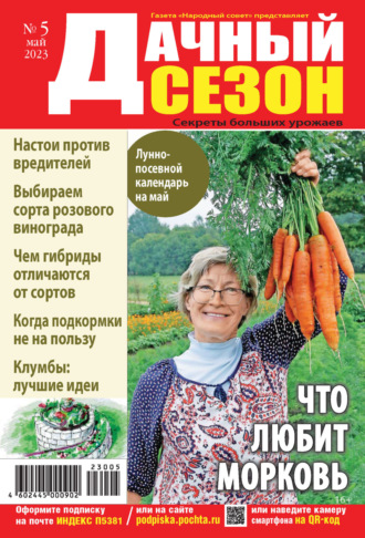 Обложка книги «Дачный сезон №05/2023»