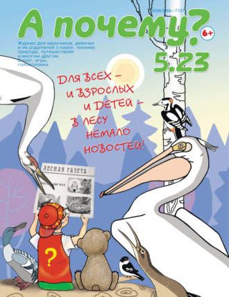 Обложка книги «А почему? №05/2023»