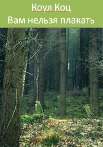 Обложка книги «Вам нельзя плакать»