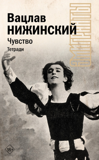 Обложка книги «Чувство. Тетради»