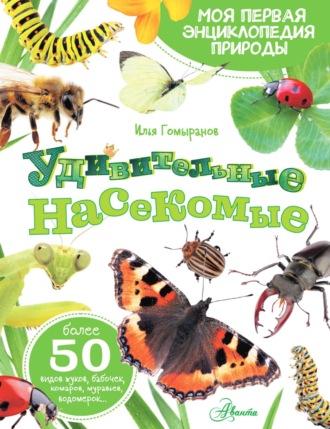 Обложка книги «Удивительные насекомые»