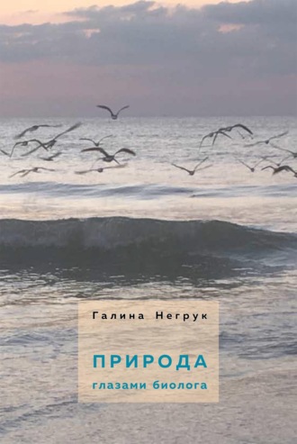 Обложка книги «Природа глазами биолога»