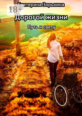 Обложка книги «Дорогой жизни: путь к свету»