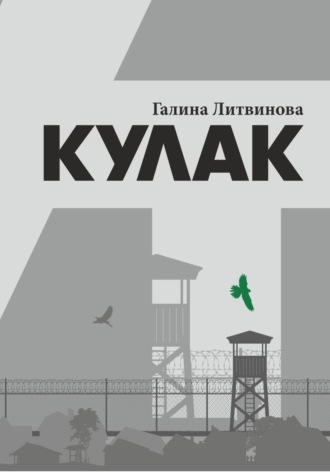 Обложка книги «Кулак»