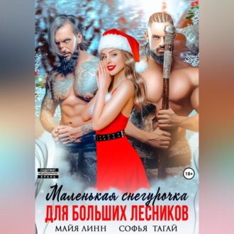 Обложка книги «Маленькая Снегурочка для больших лесников»
