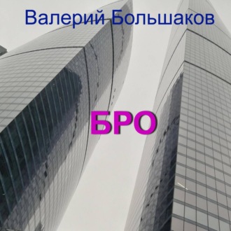 Обложка книги «Бро»