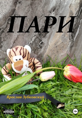 Обложка книги «Пари»