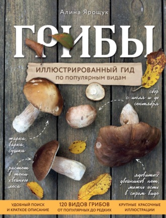 Обложка книги «Грибы: иллюстрированный гид по популярным видам»