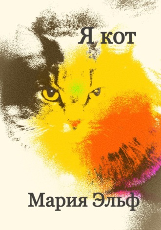 Обложка книги «Я кот»
