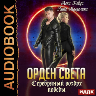 Обложка книги «Серебряный воздух победы»