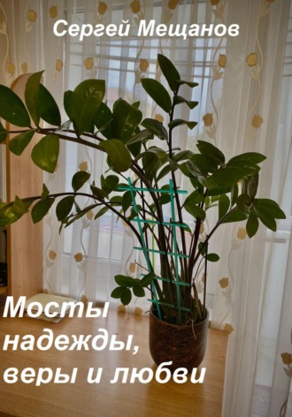 Обложка книги «Мосты надежды, веры и любви»