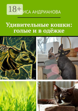 Обложка книги «Удивительные кошки: голые и в одёжке. Сказка для взрослых детей»