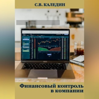 Обложка книги «Финансовый контроль в компании»