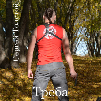 Обложка книги «Треба»