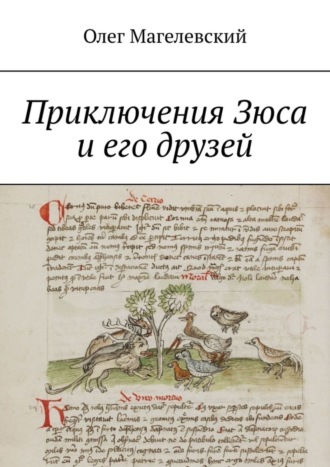 Обложка книги «Приключения Зюса и его друзей»
