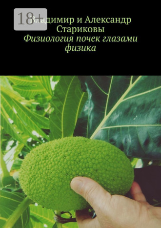 Обложка книги «Физиология почек глазами физика»