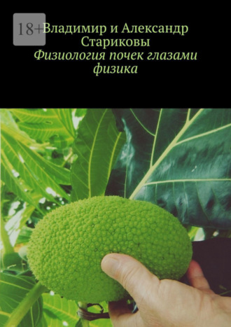 Александр Владимирович Стариков. Физиология почек глазами физика