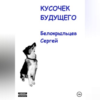 Обложка книги «Кусочек будущего»